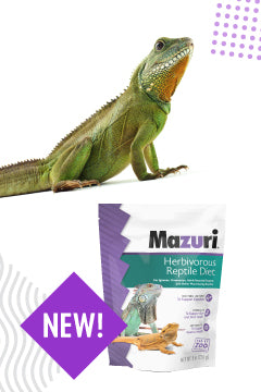 Mazuri Herbivorous Reptile Diets