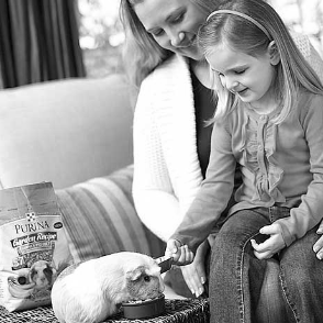 young girl petting a guinea pig