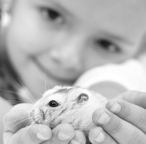 small girl holding a hamster