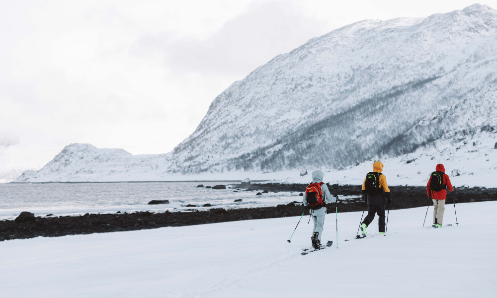 Three people ski toruing next to Norway fjord