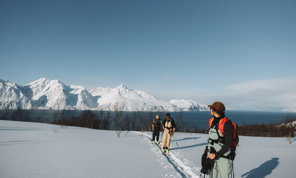 Three skiers looking back at mountains across Norway fjord