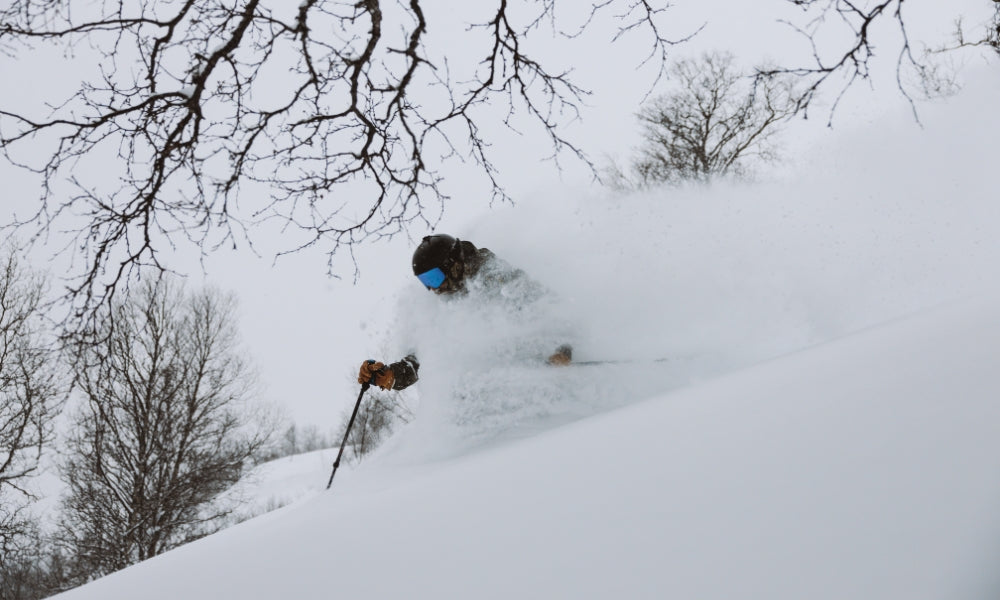 Skier in deep powder with leafless trees