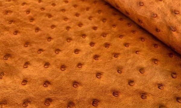 Is Ostrich Leather Better Than Cow Leather? A Guide to Leather