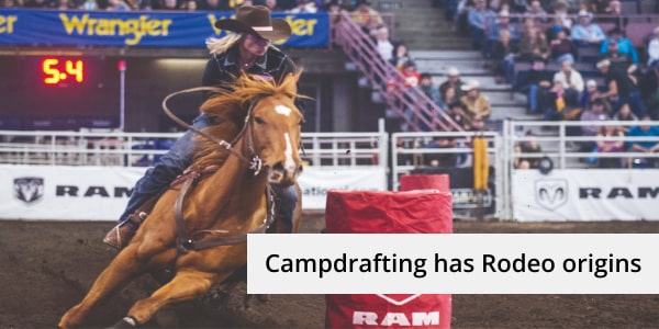 Campdrafting discipline in horses has origins to rodeo in canada and north america. Blog image