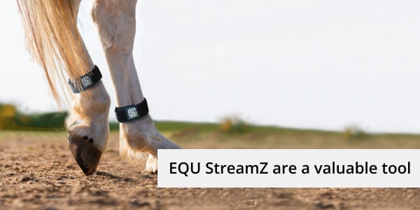 Equ streamz are a valuable tool for campdrafting horses ongoing health and wellbeing