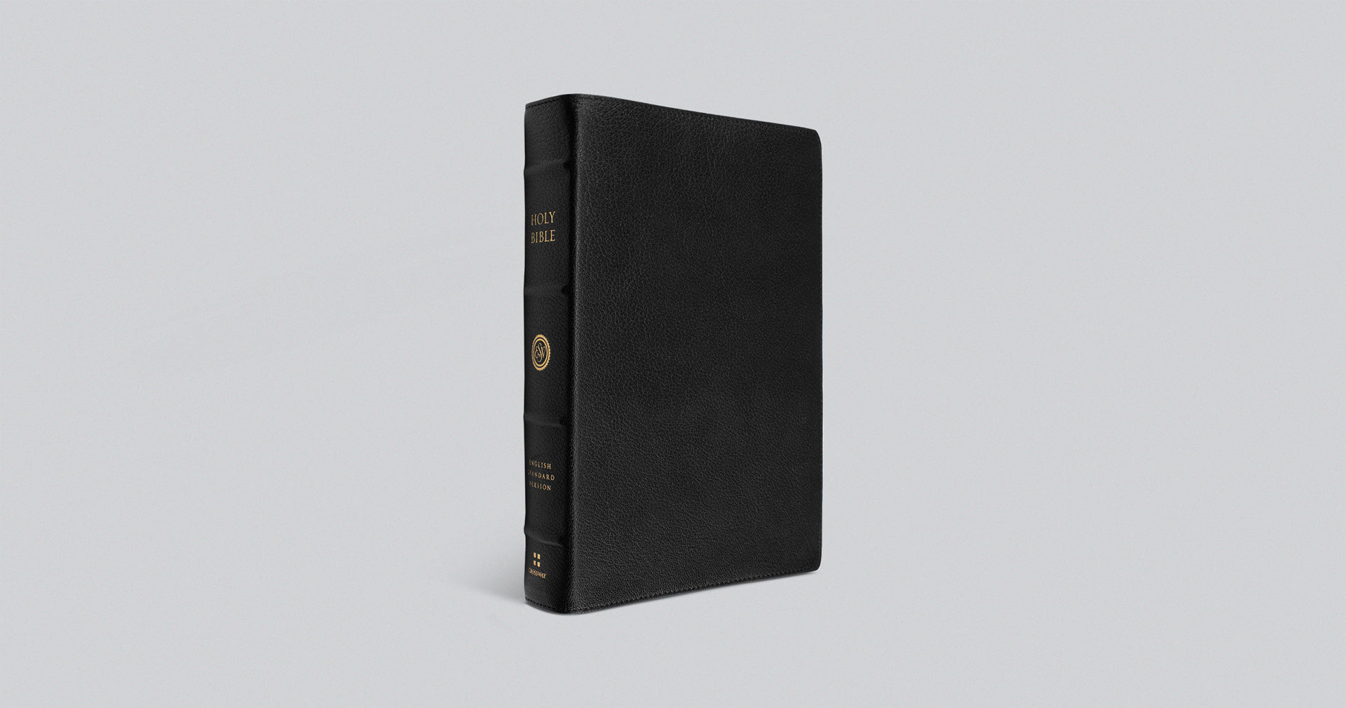 ESV Leather Preaching Bible, Goatskin Black, Personalized – Chapter ...