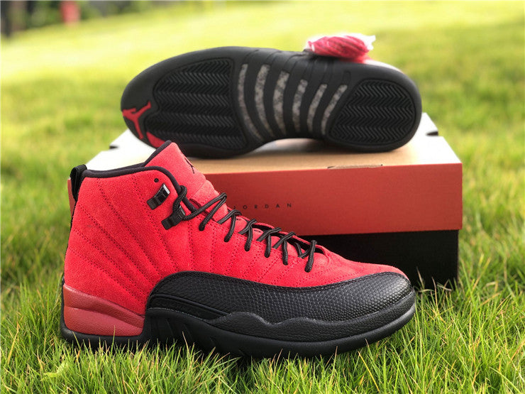 Air Jordan 12 Reverse Flu Game CT8013-602