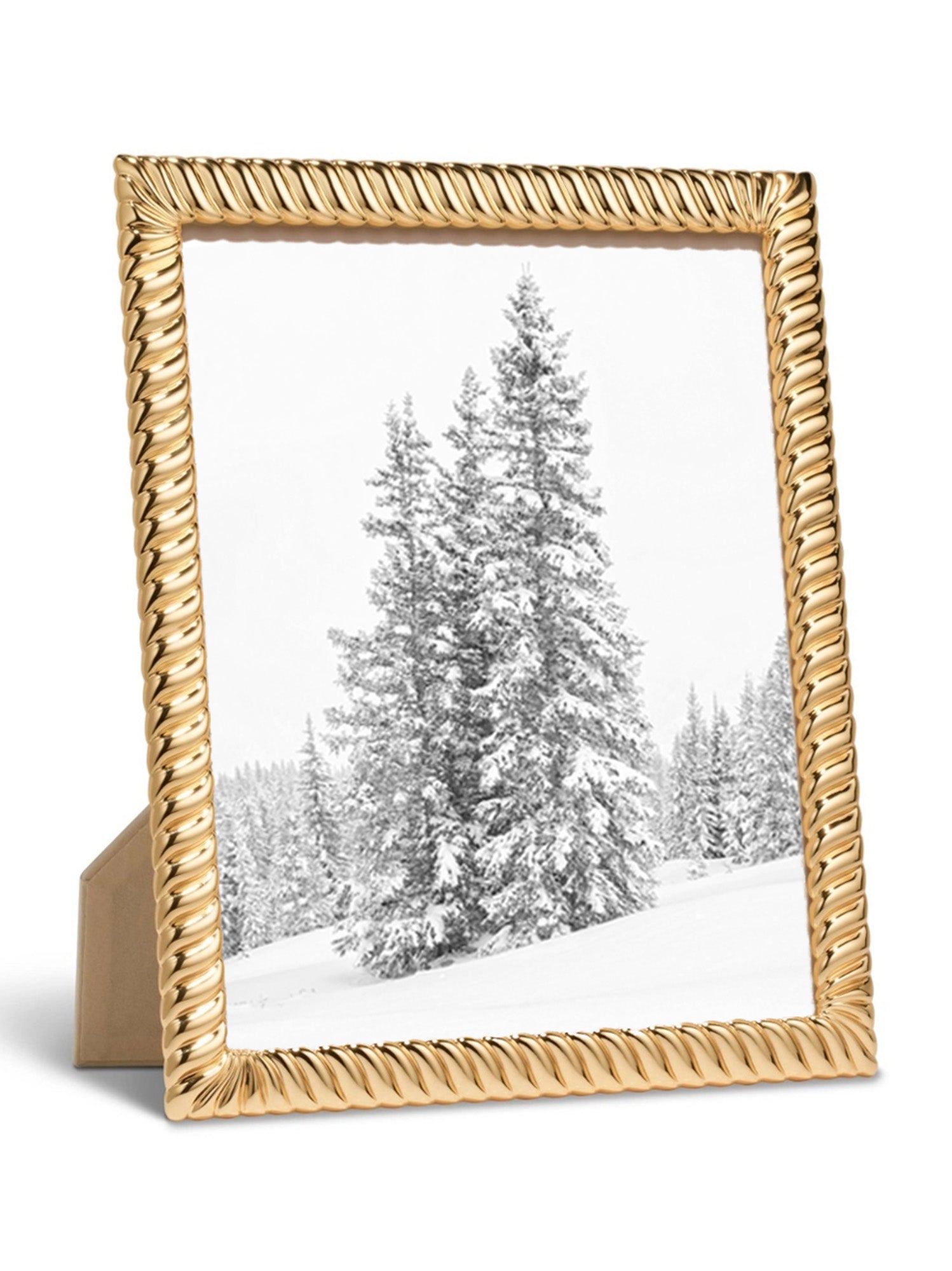 Loretta Frame 8X10