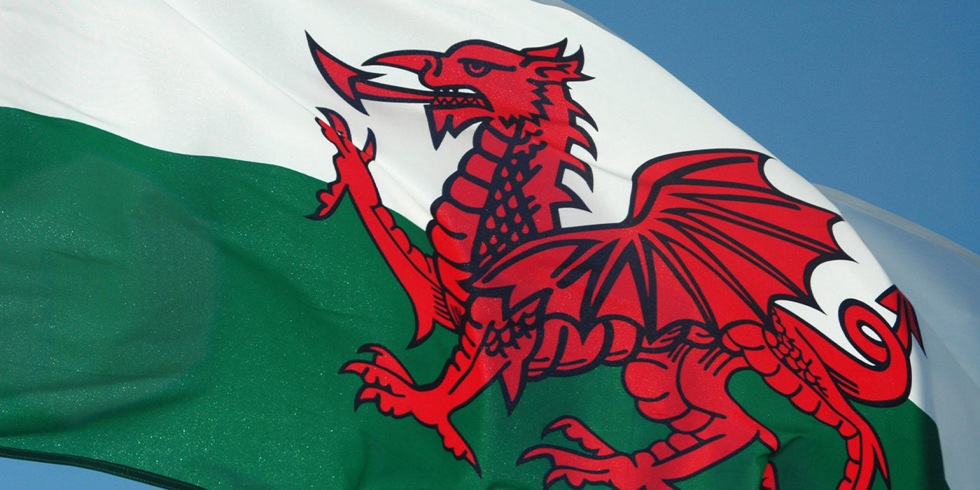 Keltisk Drake På Wales Flagga