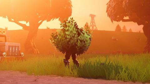 Player in a bush