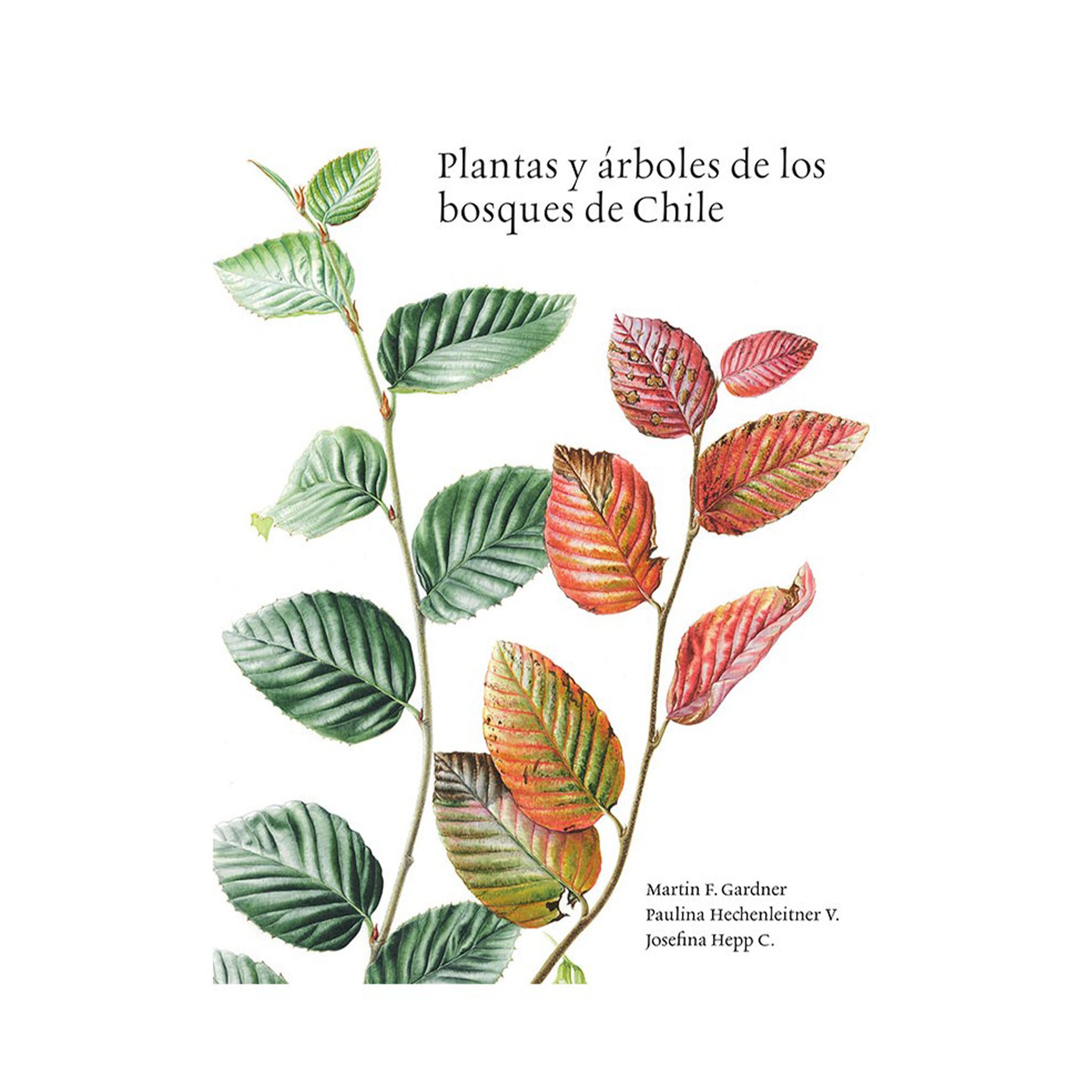 Plantas y árboles de los bosques de Chile | Autoras Librería