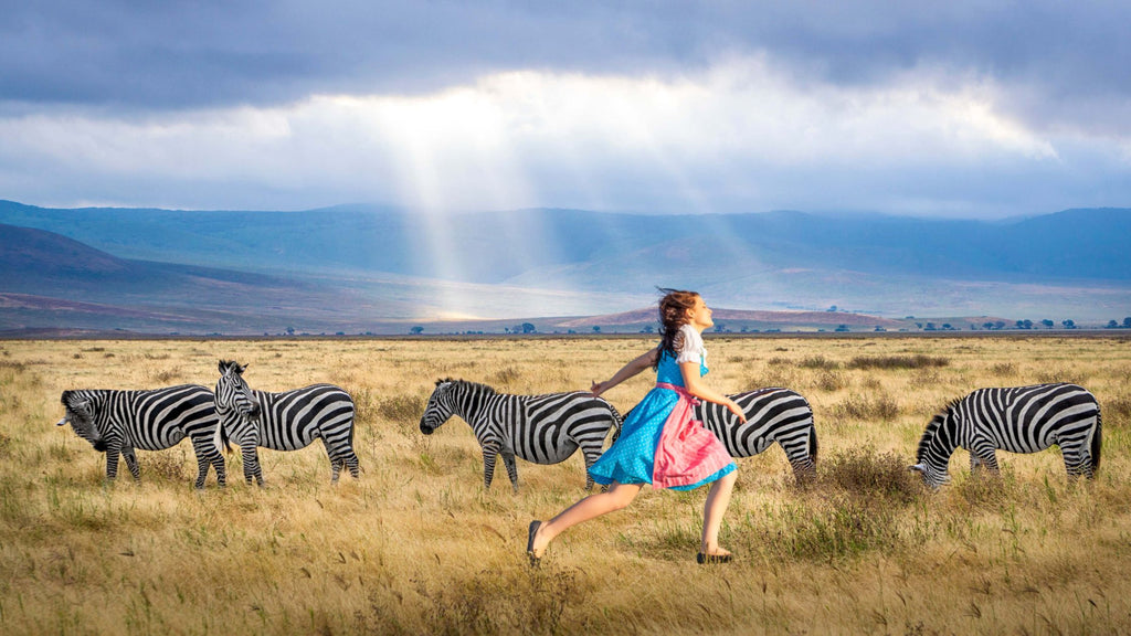 Zebras in Afrika und Frau