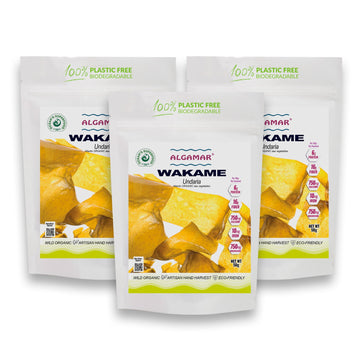 Algues Séchées - Wakame BIO 100 g (sac aluminium) - PORTO MUINOS –  Biolaboratorium