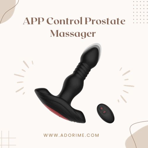 APP Control Prostate Massager Anal Vibrator