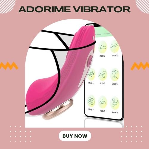 Desire Luxury Magnetic App-Controlled Clitoral Sexy Secret Panty Vibrator