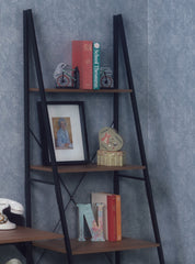 wood and metal ladder bookcase with books and framed pictures