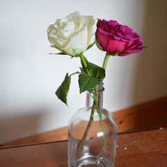 Reuse glass bottles as a flower vase