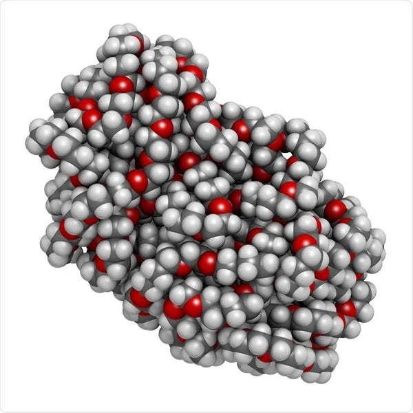 polyethylene glycol molecule