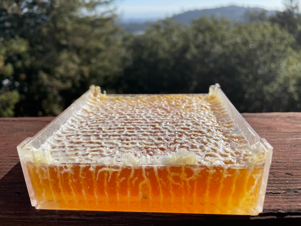 Pure comb honey - raw, natural, and local