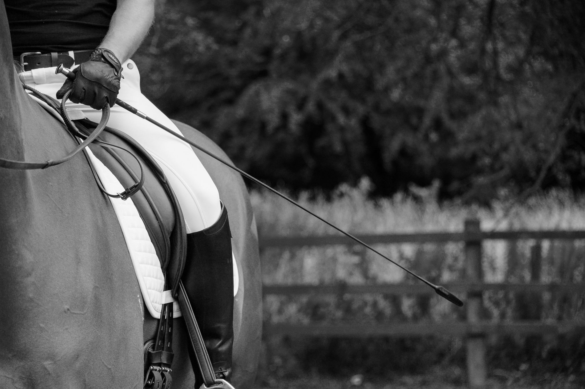 Close-up of a horse and rider with Country Direct X-Grip Flap End Dressage Whip and reins in hand.