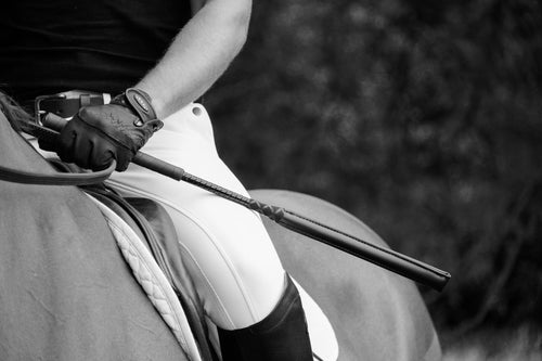 Close-up of a horse and rider with Country Direct Rubber Handle Cushion Jump Bat and reins in hand.