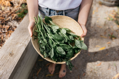 Woman holding out a basket full of vegetables