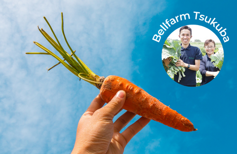 Organic carrot from Bell farm in Japan