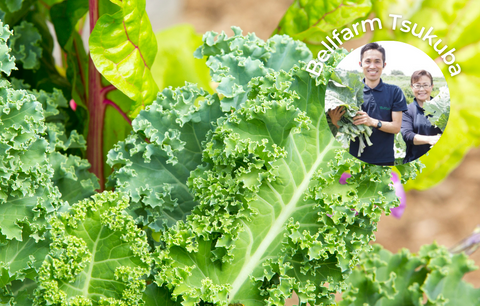 using organic kale