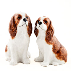 Salz und Pfefferstreuer PETS - Cavalier King Charles Spaniel