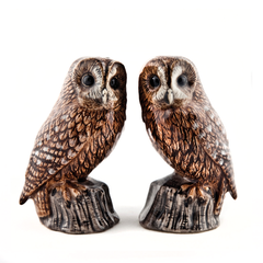 Salt & Pepper Shaker Set - Owl Tawny Owl