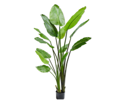 Kunstpflanze Strelitzie - grün L