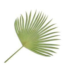 Artificial plant palm leaf - green