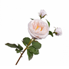 Artificial flower Roses Branch - light pink / white