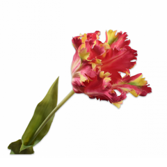 Artificial flower parrot tulip - red/yellow