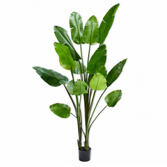 Kunstpflanze Strelitzie - grün XL