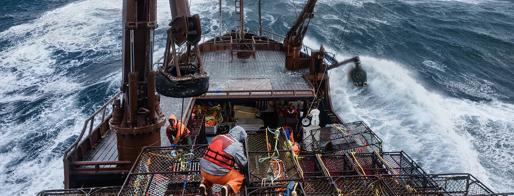 Chad and Craig Lowenberg of the F/V Arctic Lady on the Bering Sea