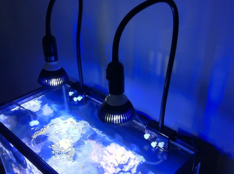 mythologie vee Kan weerstaan Aquarium Reef CREE LED Bulb 35W Full Spectrum Light w/ optional mount – 21  LED