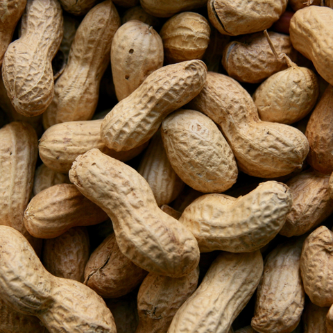Image of high quality roasted peanuts