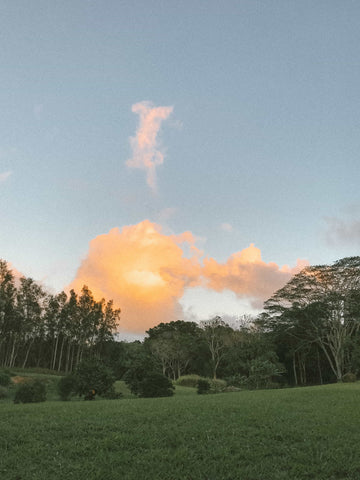 An expansive view of green land with trees at sunset time with a blue sky and puffy peach clouds.