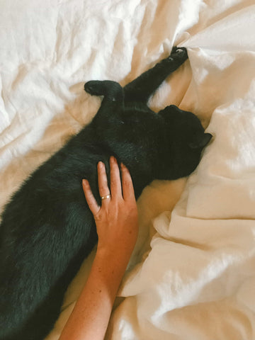 A hand wearing a wedding band reaches out to pet a black cat stretched out on a white bed.
