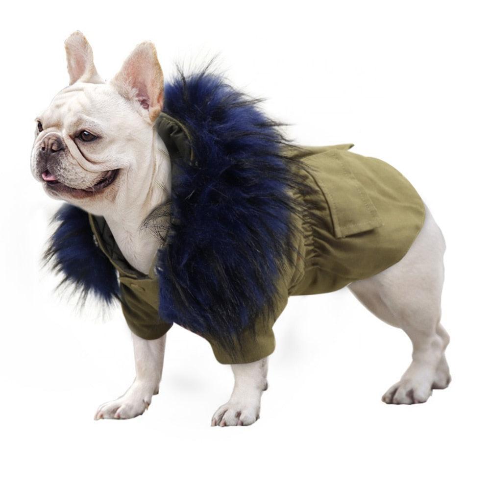 Veste d'hiver chaude à capuche Big Mane - 4: FancyPetTags.com