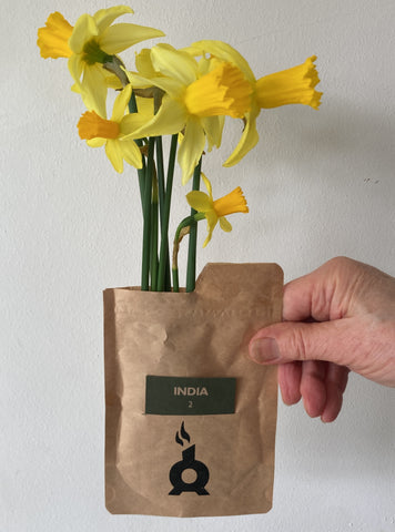 daffodils inside used chimney fire coffee bag