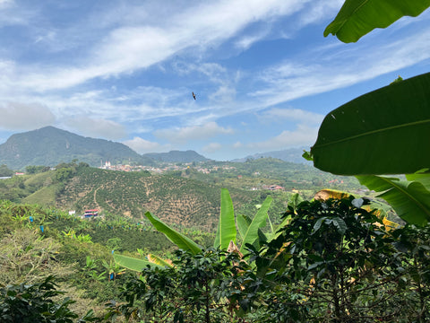 view from finca las cruces to quinchia risaralda