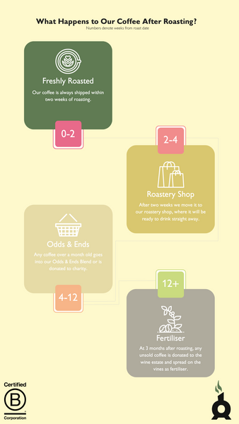 infographic about what happens to our coffee once it has been roasted