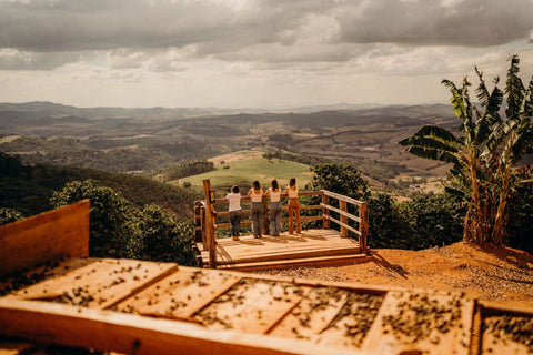 viewpoint at fazenda sertao with four women looking at the view