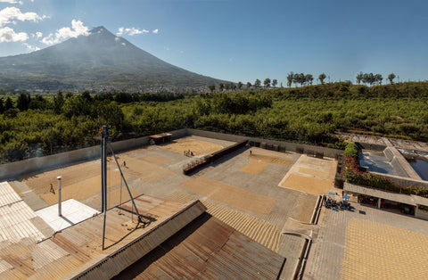 finca medina with volcan de agua in background