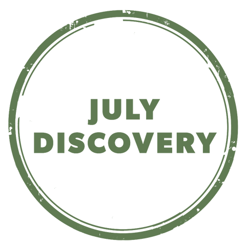 discovery coffee logo