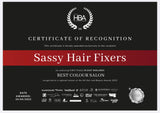 Sassyhairfixers 1st place Best colour salon EastMidlands Regional award 