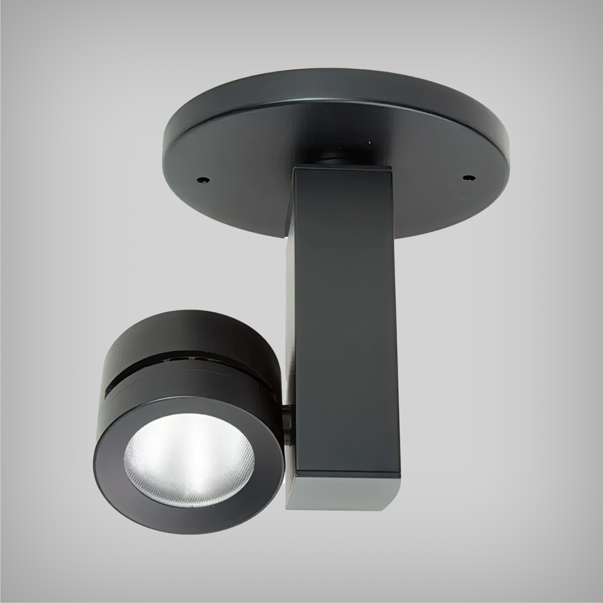 Adjustable Monopoint Light with Architectural LED, Black and White