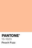 Pantone Pêche Fuzz